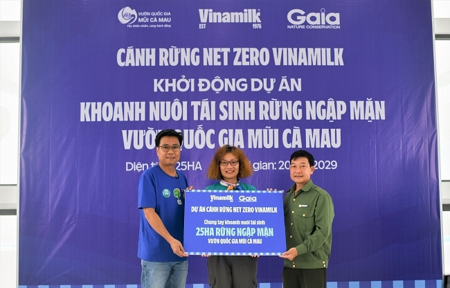 Đẩy mạnh dự án 'Cánh rừng Net Zero', Vinamilk khoanh nuôi tái sinh 25ha rừng ngập mặn Cà Mau