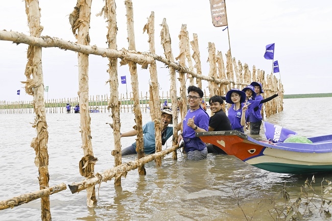 Đẩy mạnh dự án 'Cánh rừng Net Zero', Vinamilk khoanh nuôi tái sinh 25ha rừng ngập mặn Cà Mau 7