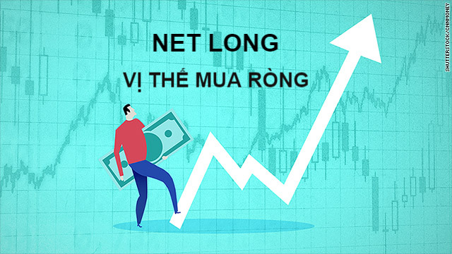 Vị thế mua ròng (Net Long) là gì? Đặc điểm và ví dụ - Ảnh 1.