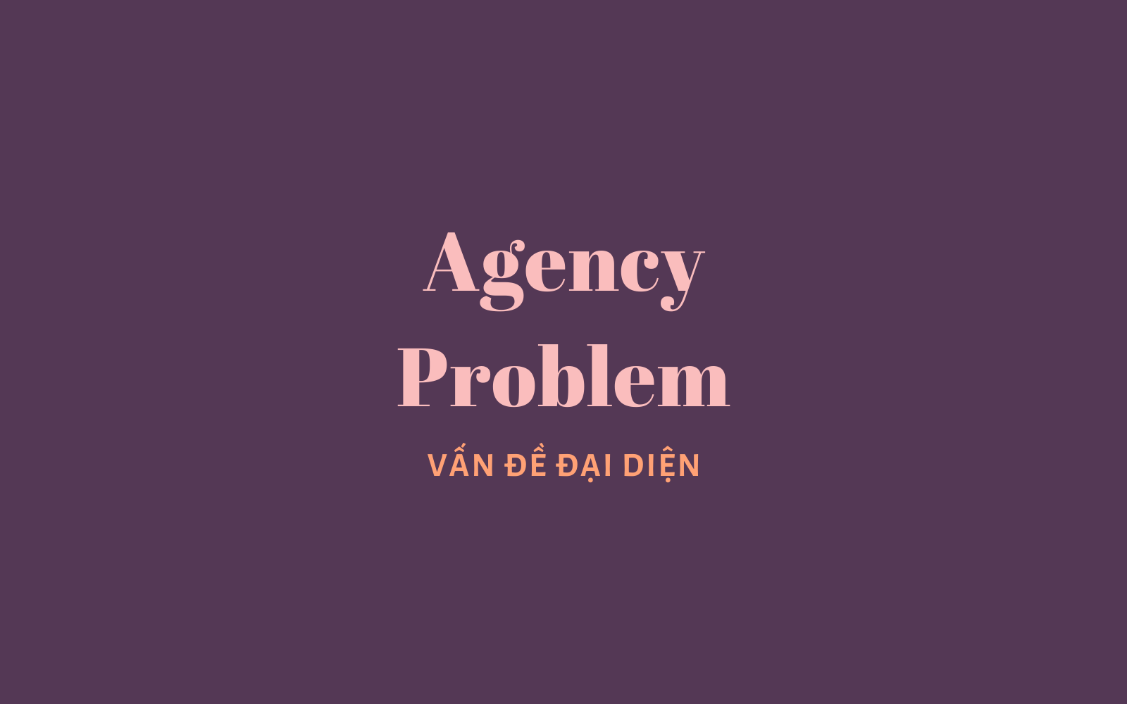 Agency Problem