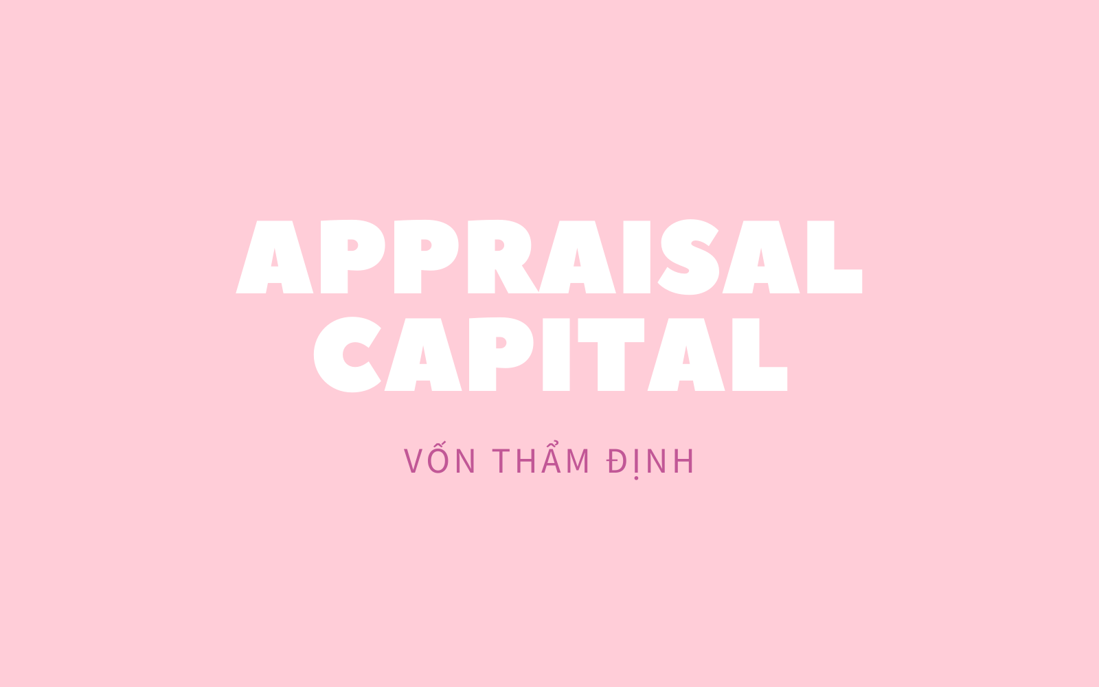 Vốn thẩm định (Appraisal Capital) là gì? Hiểu về vốn thẩm định - Ảnh 1.