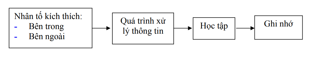 học tập