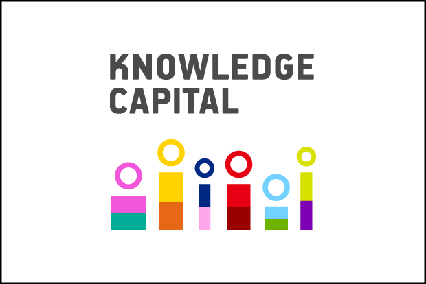 Vốn hiểu biết (Knowledge Capital) là gì? Công ty sử dụng vốn hiểu biết như thế nào? - Ảnh 1.