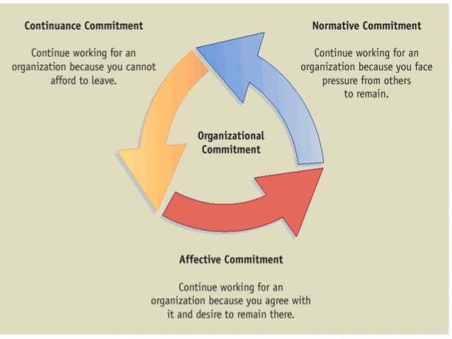 Cam kết tình cảm (Affective commitment) của nhân viên là gì? - Ảnh 1. Cam kết tình cảm (Affective commitment) của nhân viên là gì? - Ảnh 1.