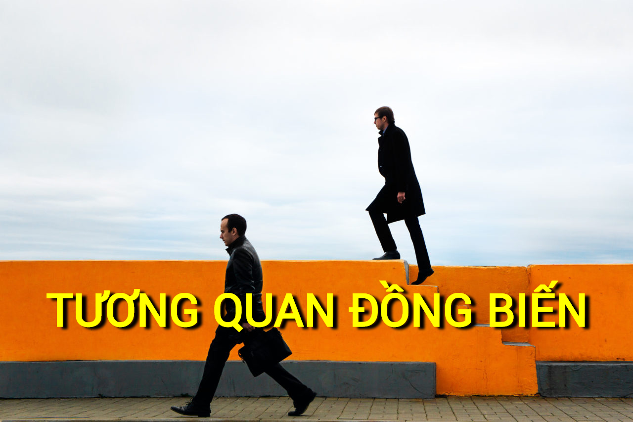 Tương quan đồng biến (Positive Correlation) là gì? Những đặc điểm cần lưu ý - Ảnh 1.