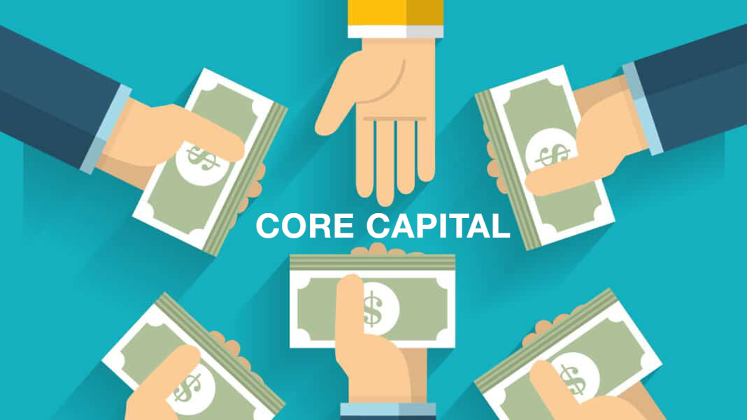 Vốn tự có (Core Capital) là gì? Đặc điểm của Vốn tự có - Ảnh 1.