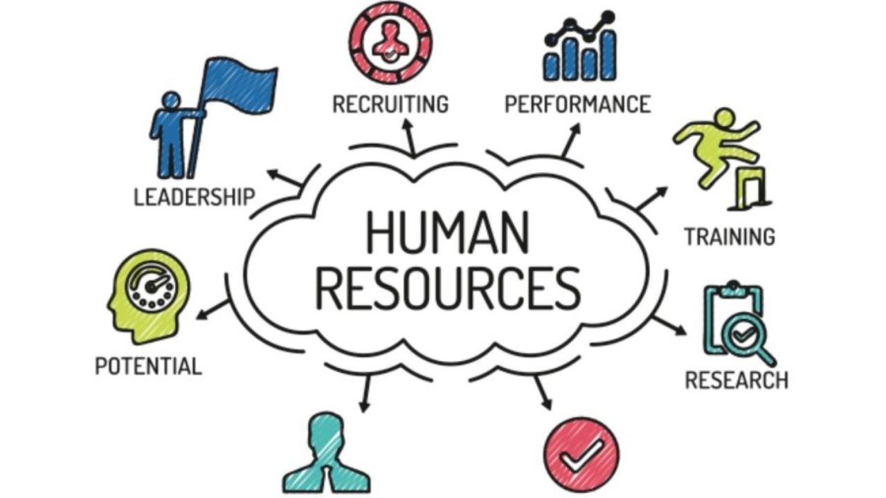 Nhân sự (Human Resources) là bộ phận nào? Đặc điểm - Ảnh 1.