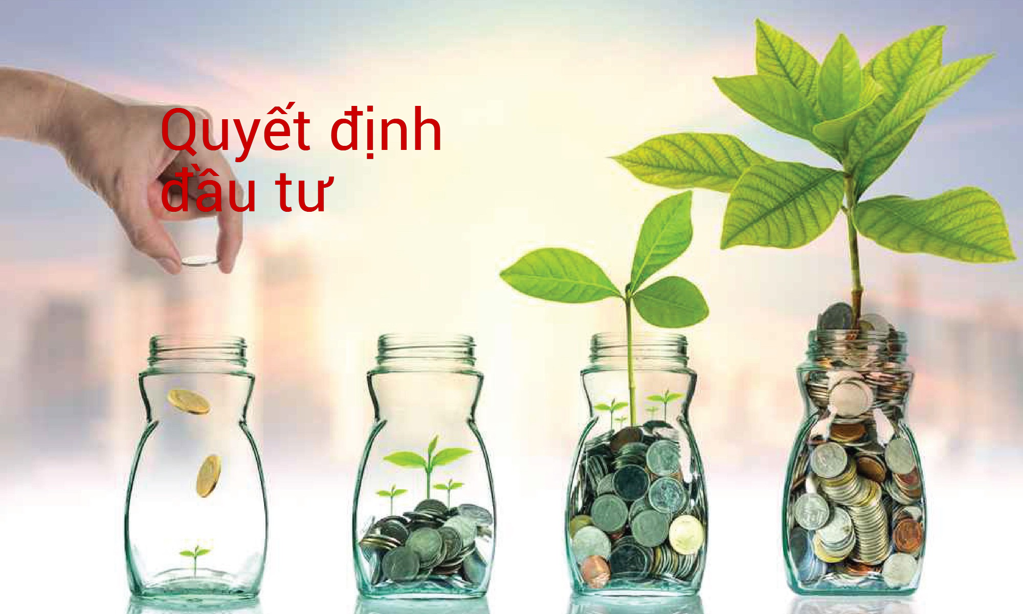 SIP-Scheme-OPTION-2