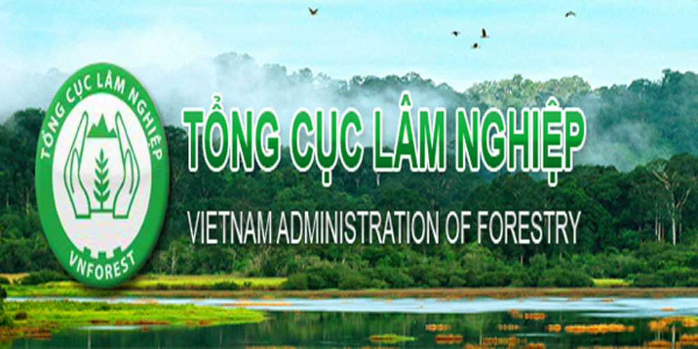 Tổng cục Lâm nghiệp (Vietnam Administration of Forestry - VNFOREST) là tổ chức gì? - Ảnh 1.