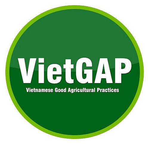 VietGAP là gì? Giấy chứng nhận VietGAP - Ảnh 1.