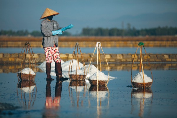 Bà Rịa - Vũng Tàu: Bãi bỏ quyết định về bồi thường không phù hợp Luật Đất đai trong đó có bồi thường khi thu hồi đất diêm nghiệp. Ảnh minh họa