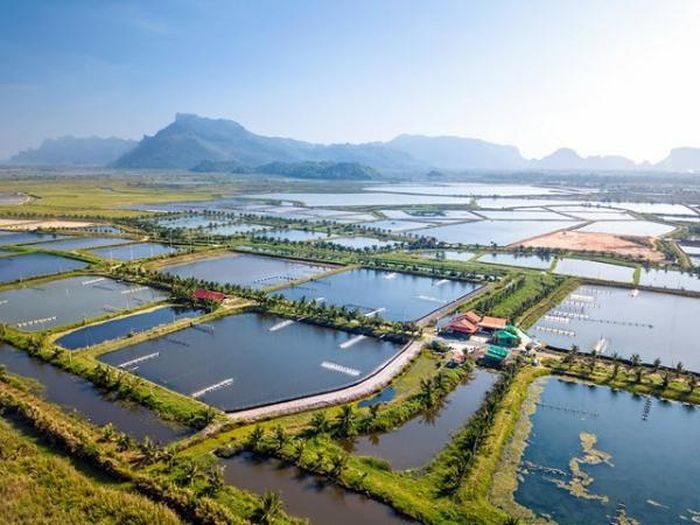 Bộ Tài chính đề xuất tiếp tục gia hạn nộp thuế, tiền thuê đất năm 2023. Ảnh minh họa: Baochinhphu.vn