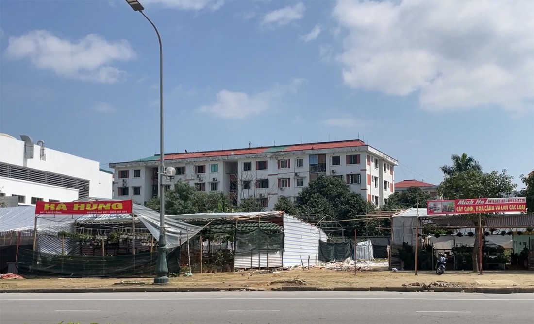 Khu đất dự án trên đại lộ Lê Nin, thành phố Vinh bỏ không hơn 10 năm, một số hộ thuê để bán cây cảnh. Ảnh: Giáo dục Thời đại
