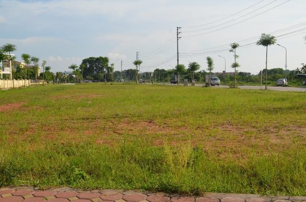 Huyện Mê Linh đang phối hợp với các cấp, ngành giao đất dịch vụ cho hơn 5.700 hộ dân. Ảnh: Vietnamnet.vn