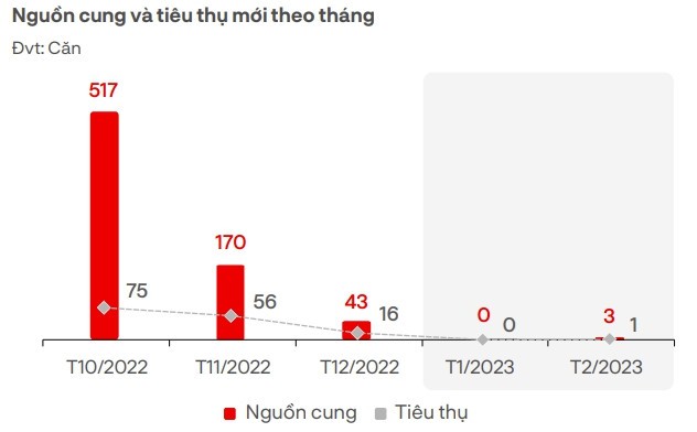2 tháng đầu năm, cả nước chỉ ghi nhận 3 căn biệt thự nghỉ dưỡng mới và chỉ có một căn được giao dịch (Nguồn: DKRA)
