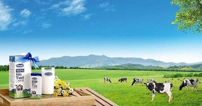 Vinamik gặt hái được những thành công nhất định khi bà Lê Thị Thanh Tâm 