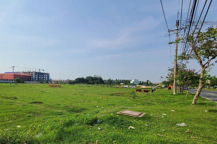 Một khu đất đang kêu gọi đầu tư ở huyện Củ Chi. PLO.vn