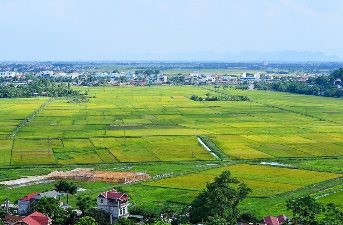 Lấy ý kiến người dân về dự thảo Luật Đất đai sửa đổi từ tháng 12. Ảnh minh họa