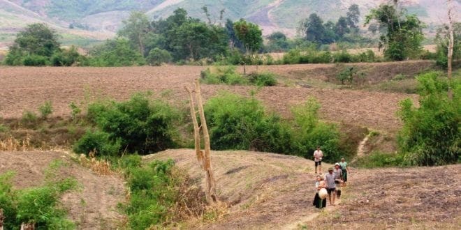 Đất khai hoang là đất đang bị để hoang hóa, đất khác đã được cơ quan nhà nước có thẩm quyền quy hoạch cho sản xuất nông nghiệp.