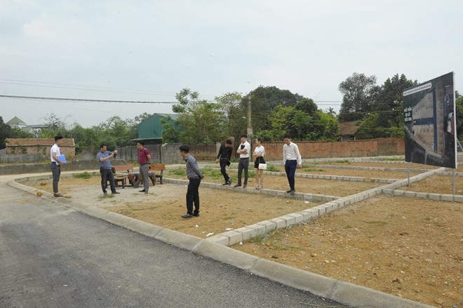 Loạt khu đất được đấu giá trong tháng 3/2023. Ảnh minh họa