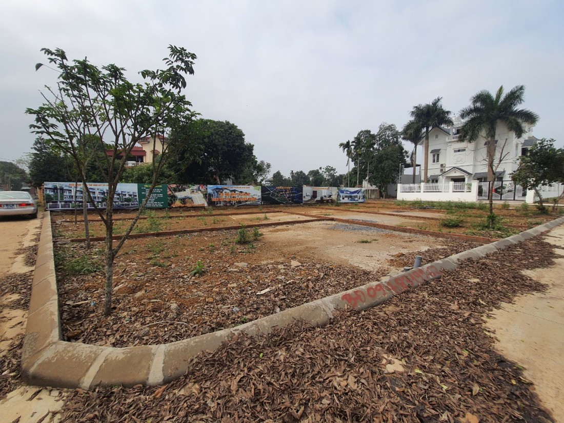 Đồng Nai: Đất nông nghiệp ở nông thôn khi tách thửa phải từ 2.000m2Ảnh: Lành Vũ