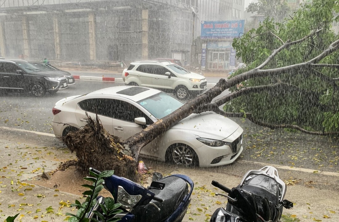 t cây xanh trên đường Láng Hạ (Đống Đa, Hà Nội) đổ đè lên xe ôtô.
