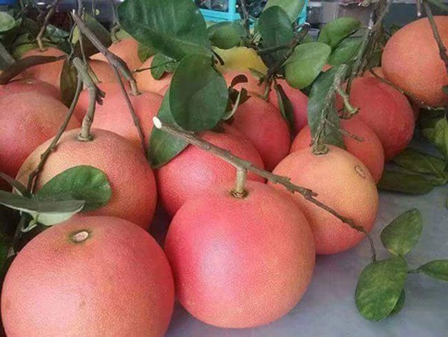 Giá thịt lợn, rau củ quả ngày 30/11: Thịt lợn đi ngang, xuất hiện loại bưởi đỏ mới