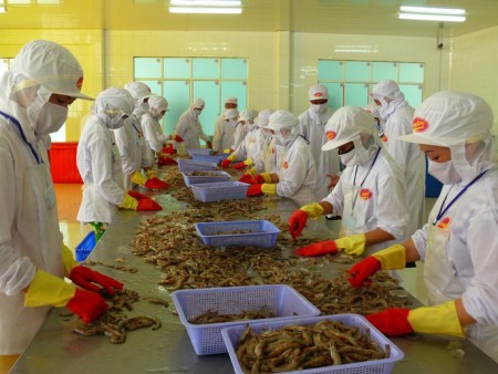 Đa số DN tại Cần Thơ đã buộc phải ngừng hoạt động