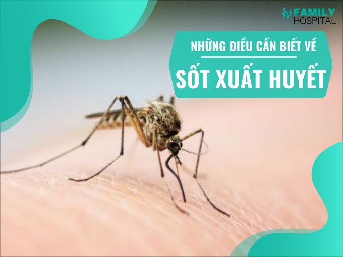 Cả nước có 50.473 trường hợp mắc sốt xuất huyết, dịch đang gia tăng