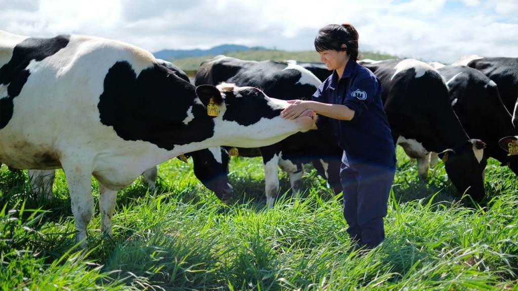 TH true MILK: Quy mô và quá trình phát triển của thương hiệu "sữa sạch" Việt Nam