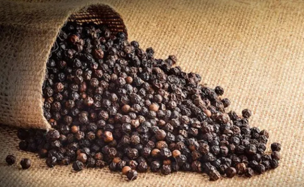 Giá tiêu hôm nay 24/9 thu mua trong khoảng 77.000 - 81.000 đồng/kg. 