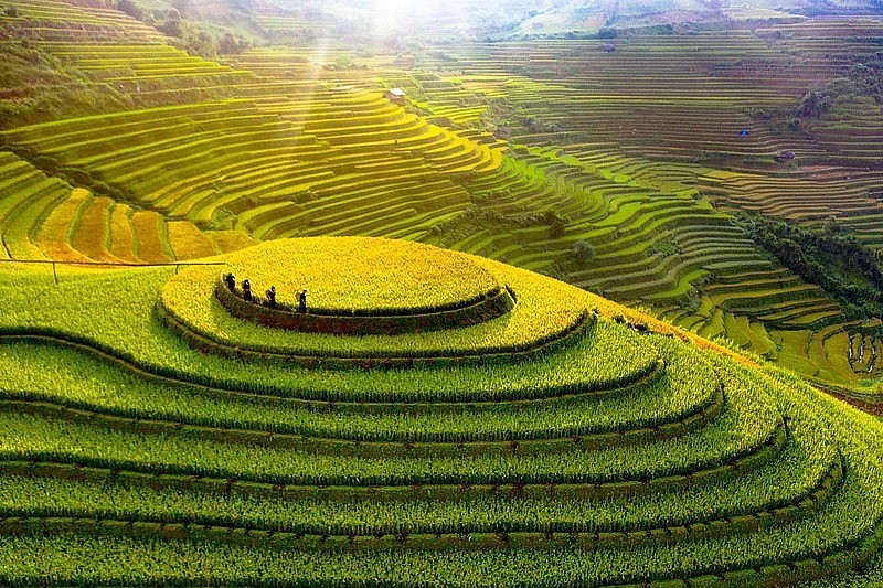 Phấn đấu đến năm 2025, tỉnh Yên Bái sẽ xây dựng huyện Mù Cang Chải trở thành huyện du lịch, thị xã Nghĩa Lộ thành thị xã văn hóa - du lịch…