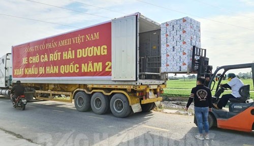 Lô cà rốt xuất khẩu đầu tiên trong năm 2022 của Hải Dương lên đường sang thị trường Hàn Quốc. Ảnh: Báo Hải Dương