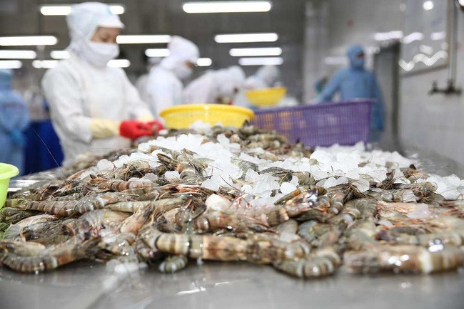 Xuất khẩu tôm Việt Nam sang Mỹ trong năm 2021 đạt hơn 88.000 tấn