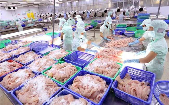 Thủy sản Cửu Long An Giang báo lãi sau thuế quý 1 /2022. Ảnh minh họa
