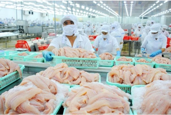 Lần đầu sau nhiều năm giảm sút, xuất khẩu cá tra sang EU tăng 86,2% so với quý I/2021