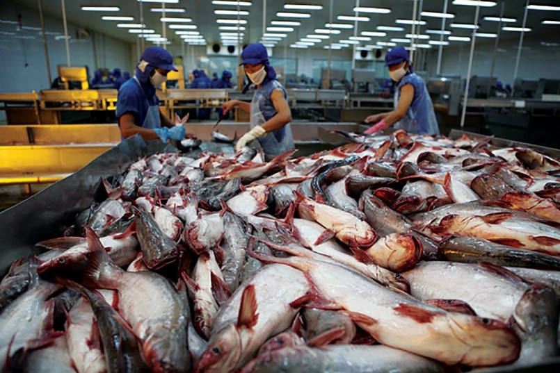 Xuất khẩu cá tra quý I/2022 tăng gần 90%