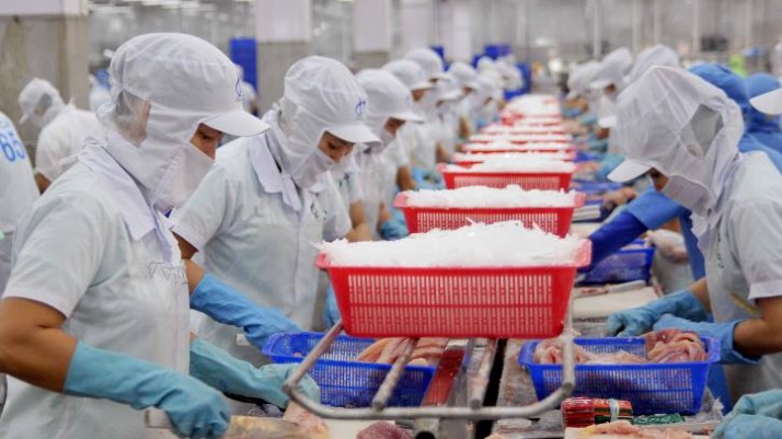 Xuất khẩu c&aacute; tra tăng trưởng mạnh ở c&aacute;c thị trường lớn
