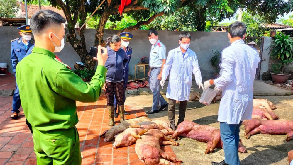 Lực lượng chức năng kiểm tra, lấy mẫu xét nghiệm.