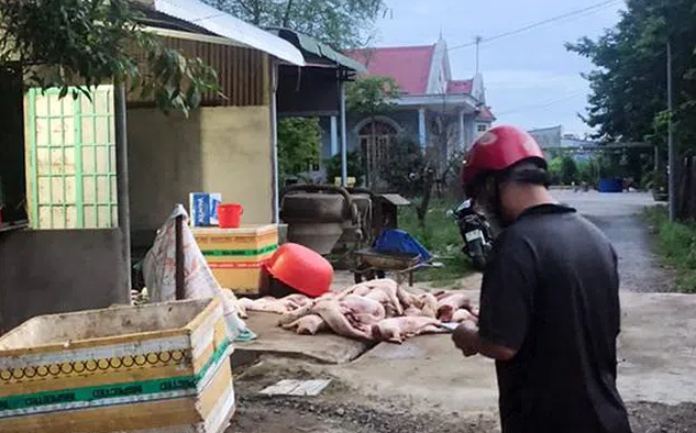 Lực lượng chức năng tỉnh Đồng Nai kịp thời ngăn chặn hơn 1 tấn thịt keo bẩn chuẩn bị tuồn ra ngoài tại hộ ông Nguyễn Mạnh Thảo.