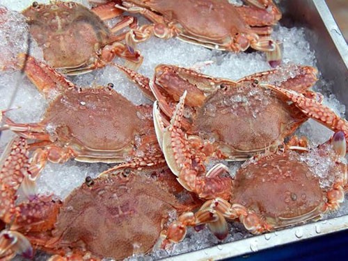 Xuất khẩu cua ghẹ tăng trưởng trở lại trong các tháng đầu năm