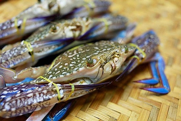 Xuất khẩu cua ghẹ tăng trưởng trở lại trong các tháng đầu năm