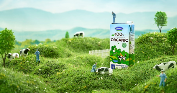 Vinamilk vào TOP 5 cổ phiếu đáng quan tâm của Đông Nam Á