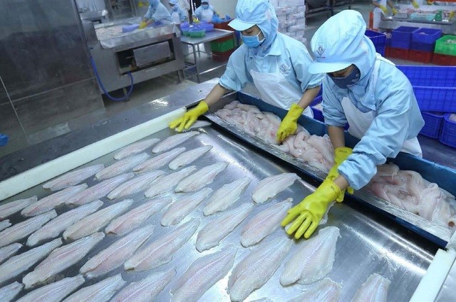 Các doanh nghiệp cần nâng cao chất lượng sản phẩm thủy sản xuất khẩu vào thị trường Trung Quốc để tận dụng lợi thế chi phí logistics - Ảnh: VASEP