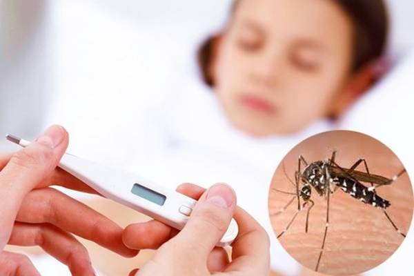 Dọn dẹp nhà cửa luôn thoáng mát, sạch sẽ, ngăn nắp. Không để các dụng cụ chứa nước hoặc nếu có phải đậy nắp và thường xuyên thay rửa, loại bỏ các ổ nước đọng.