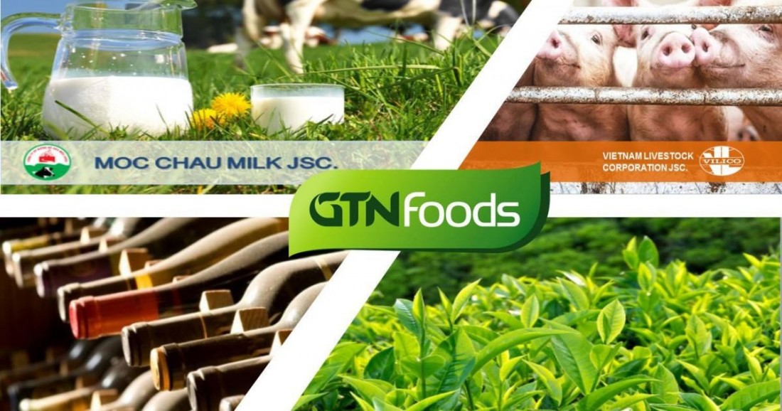 GTNFoods (GTN) bị phạt 70 triệu đồng vì lỗi công bố thông tin.