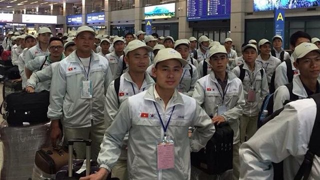 Nhật Bản là thị trường dẫn đầu tiếp nhận lao động Việt Nam