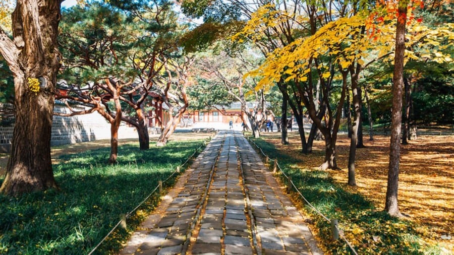 3. Jongno 3-ga, Seoul, Hàn Quốc:Khu phố lịch sử của người Hàn Quốc được bình chọn ở vị trí thứ 3. Tuy không mang vẻ đẹp nổi bật, Jongno 3-ga có sự sôi động đặc biệt, thu hút du khách từ văn hóa ẩm thực đường phố. Ngoài ra khu phố này cũng rất thân thiện với cộng đồng LGBT.
