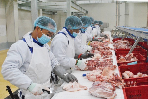 Tình hình dịch bệnh ảnh hưởng ít nhiều đến thị trường chăn nuôi. Ảnh minh họa