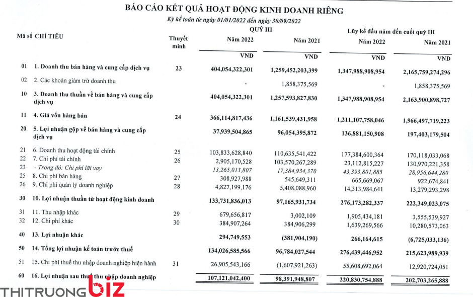 Nguồn BCTC Thaiholdings (TDH)